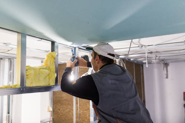 Best Insulation Contractors for Homes  in Jamesburg, NJ